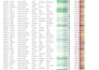 manage excel data entry datacleaning, formatting, pivot tables, or charts